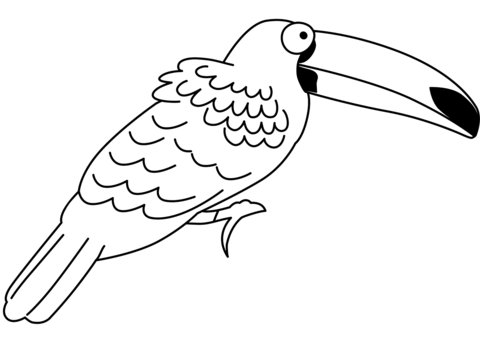 Funny Toucan Coloring Page